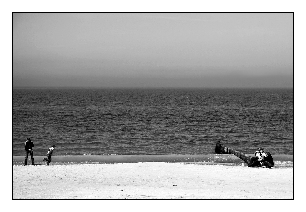 Pfahlhocker… und andere Strandläufer.. ;-)