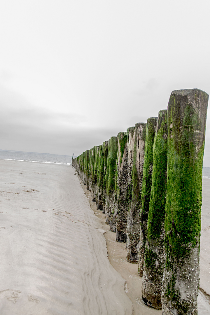 Pfahlreihe am Meer