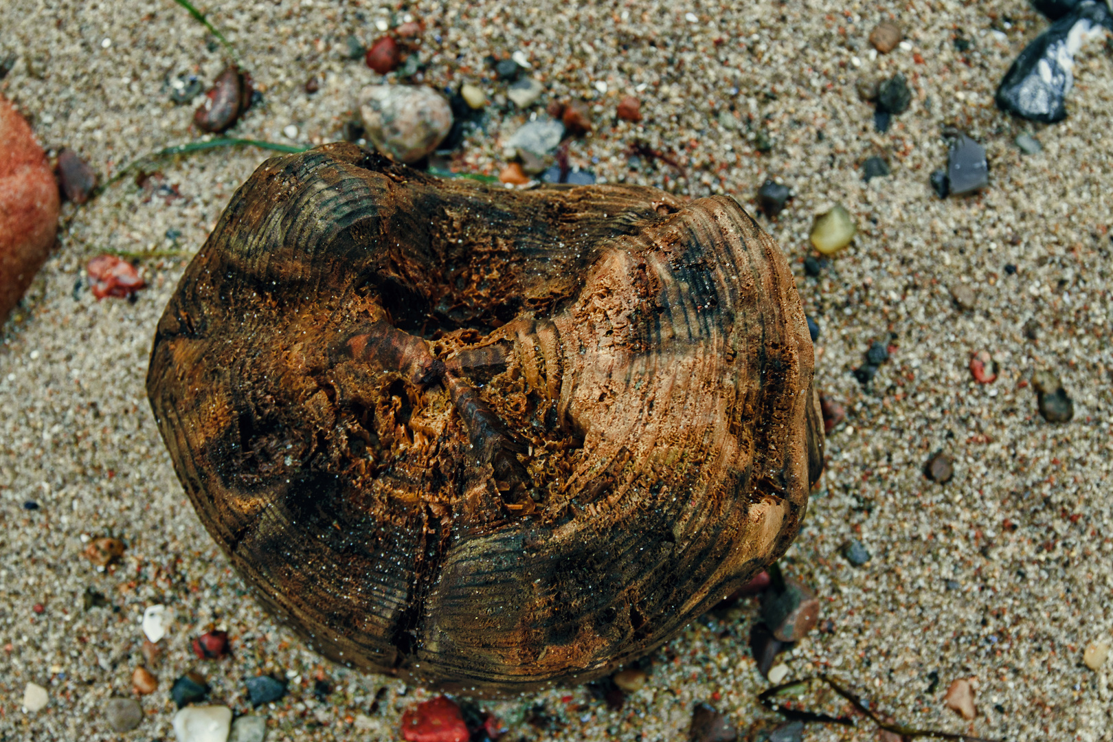 Pfahlstumpf  im Strand