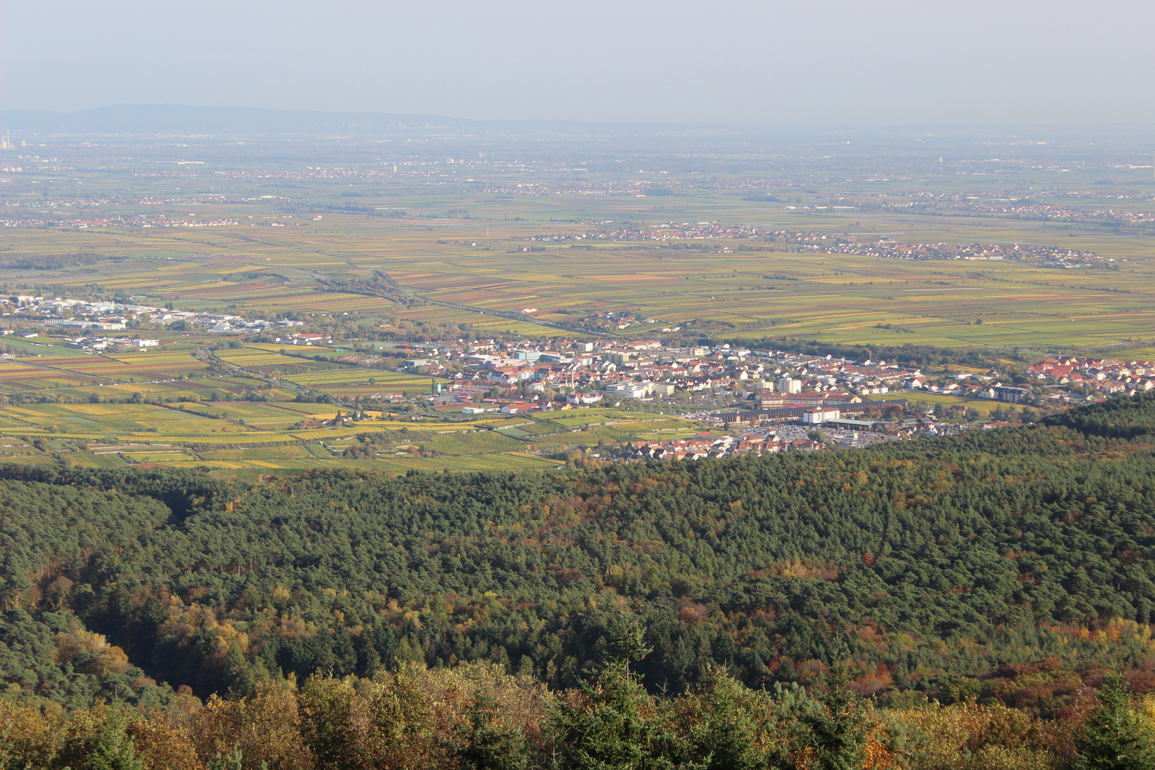 Pfalz