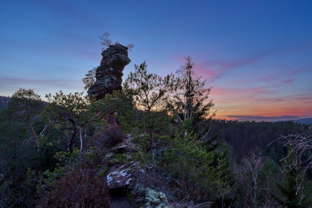 Pfalz - Abenddämmerung im Dahner Felsenland