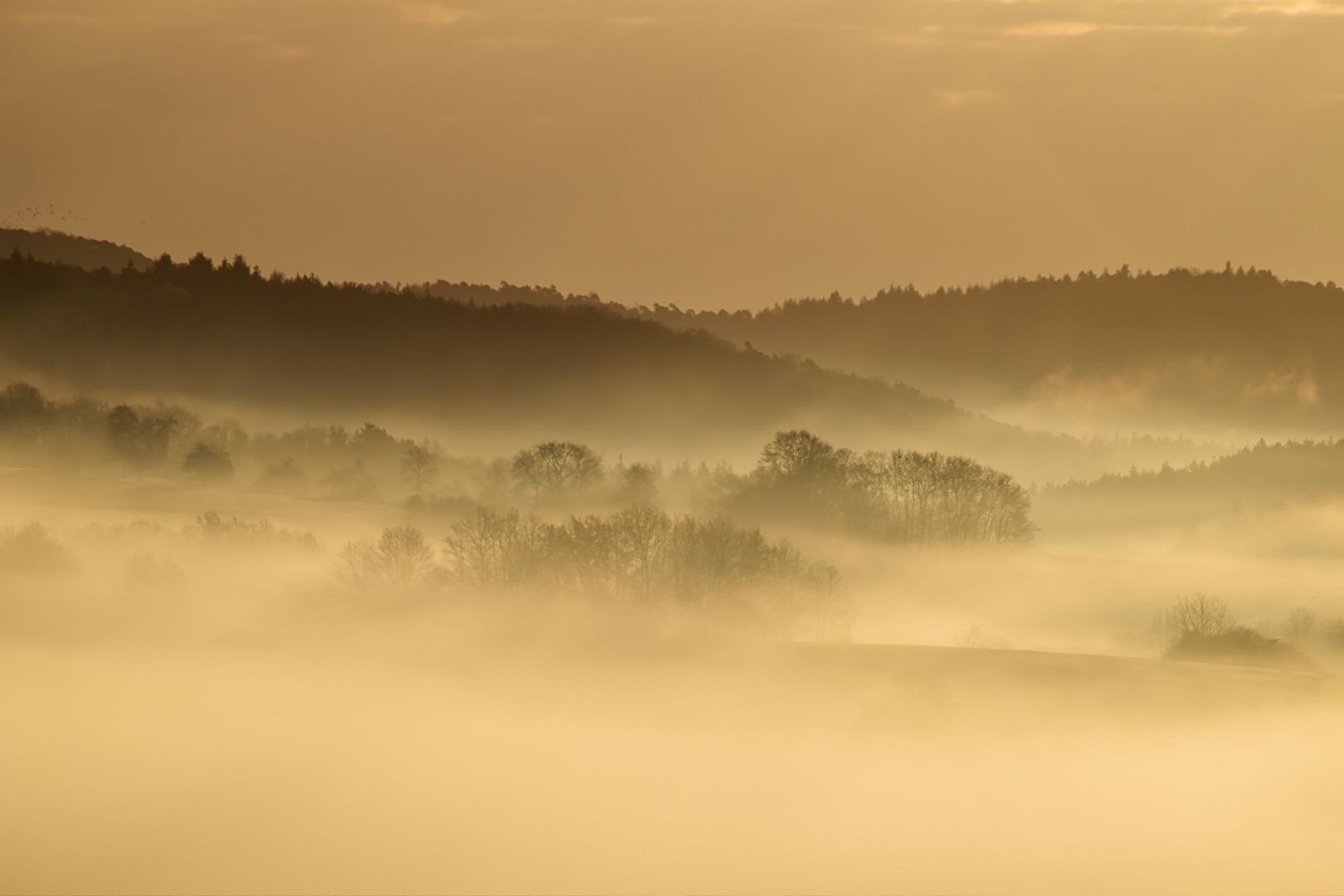 Pfalz - auch im Frühling gibt es Nebel