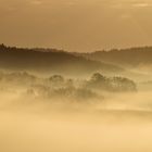 Pfalz - auch im Frühling gibt es Nebel