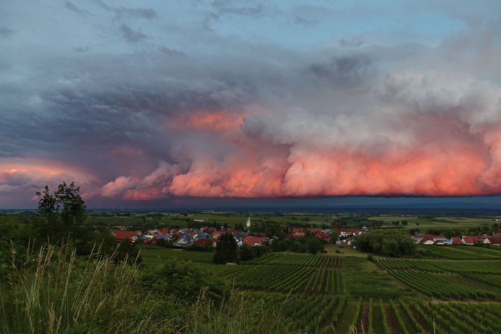 Pfalz - außergewöhnliche Konstellation