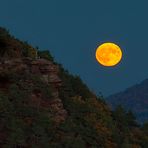 Pfalz - Blauer Mond am Wachtfelsen