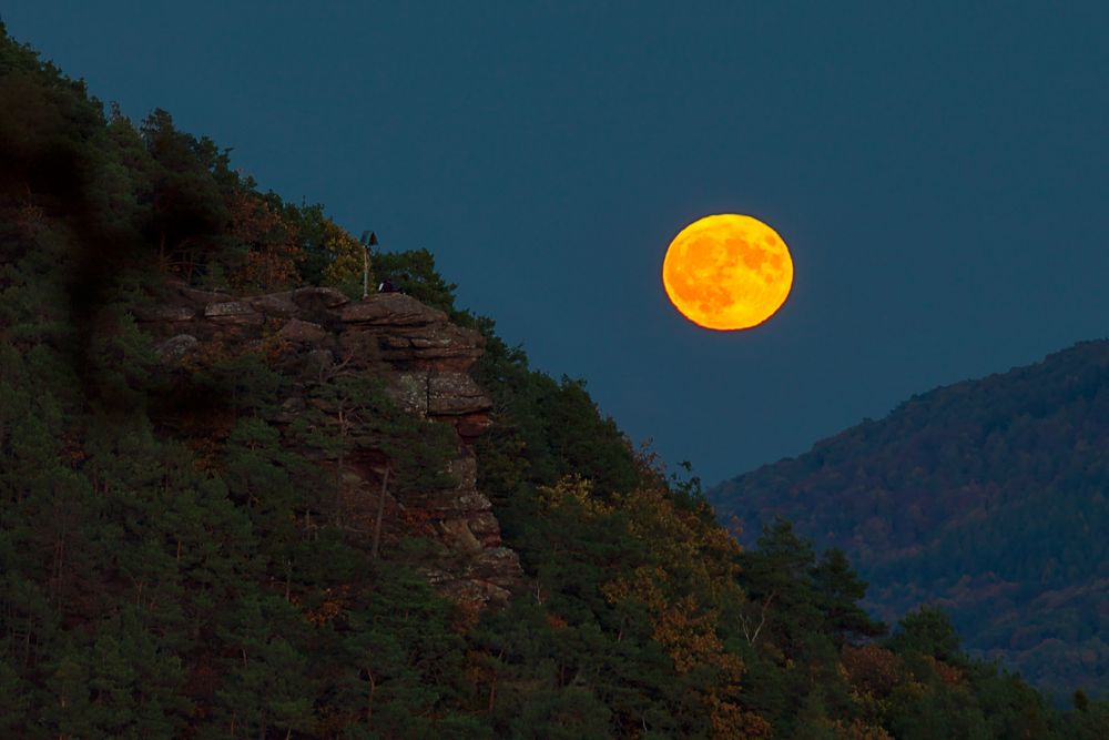 Pfalz - Blauer Mond am Wachtfelsen