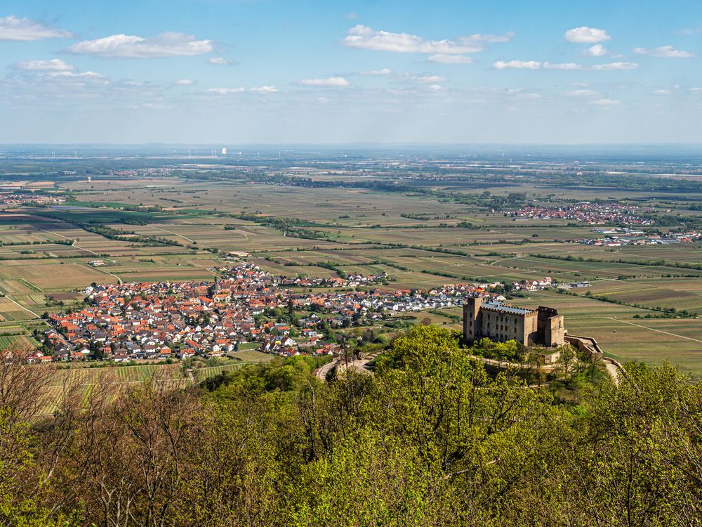 Pfalz. Blick auf's Hambacher Schloss. Foto & Bild world, wald, himmel