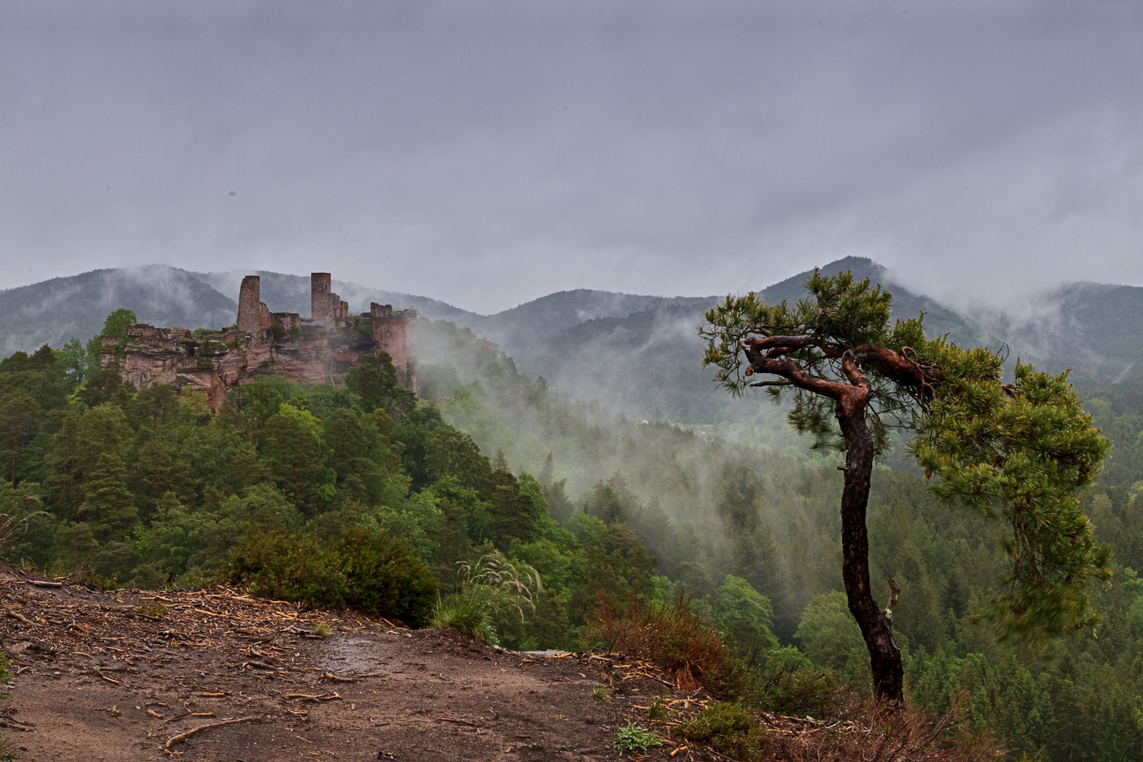 Pfalz - Burg Altdahn bei Sturzregen