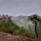 Pfalz - Burg Altdahn bei Sturzregen