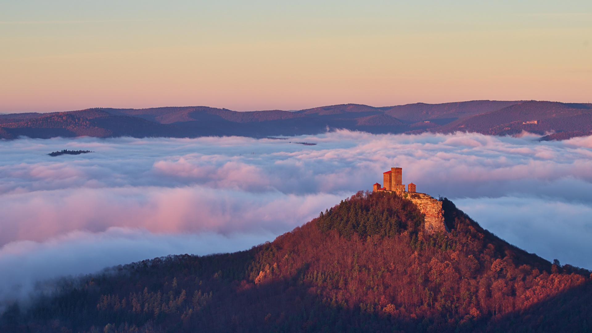 Pfalz - Burg + Nebel + Sonnenuntergang = WOW