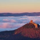 Pfalz - Burg + Nebel + Sonnenuntergang = WOW