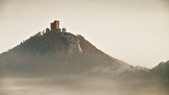 Pfalz - Burg Trifels im Nebelmeer