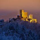 Pfalz - Burg Trifels im Winterkleid