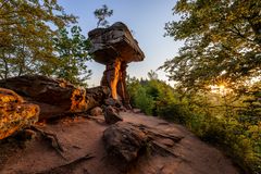 Pfalz - dem Sommer zum Trotze