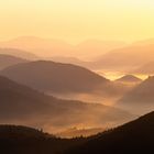 Pfalz - der Morgen nach dem Sommerregen