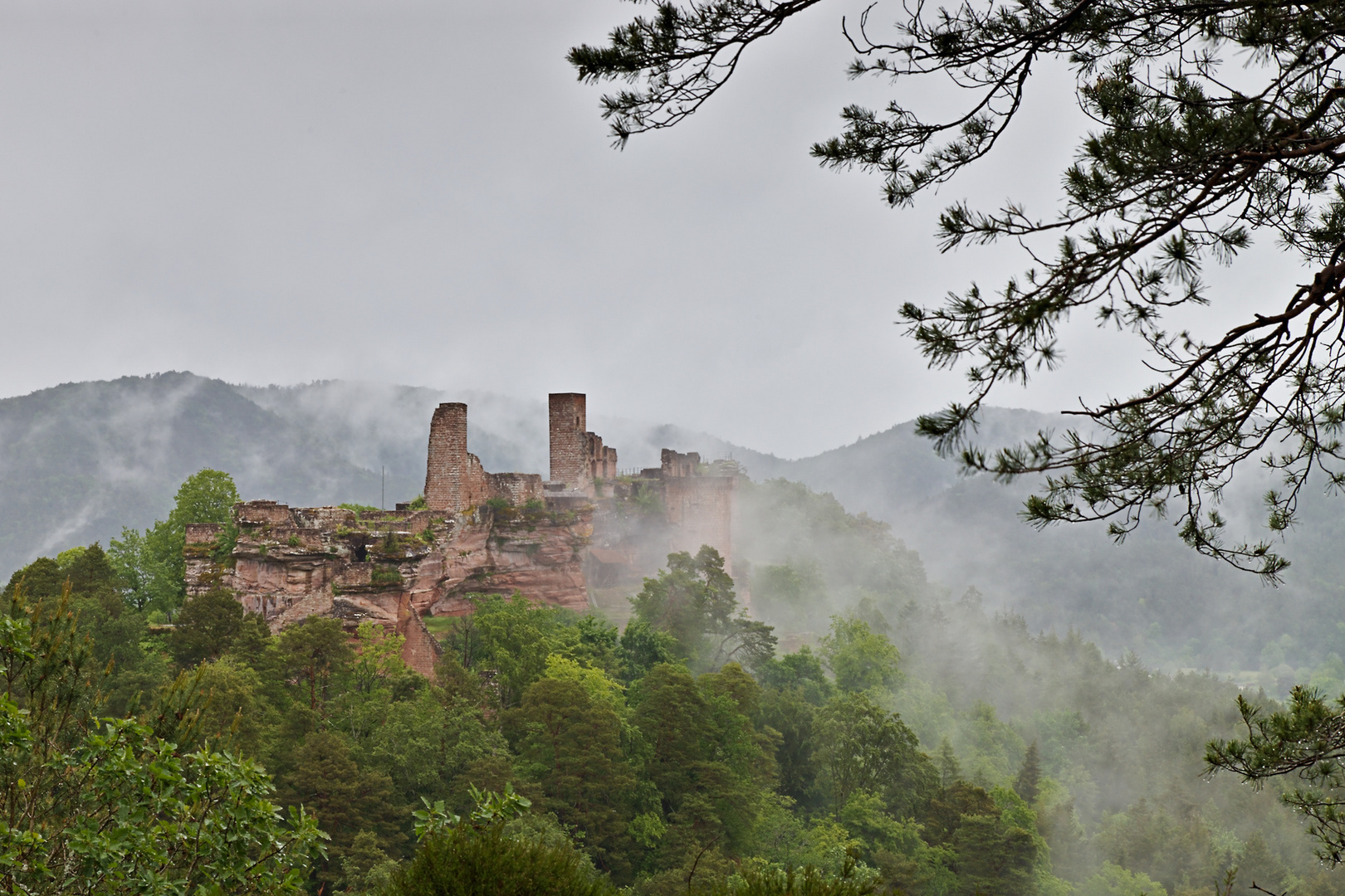 Pfalz - Die Eisheiligen an der Burg Altdahn