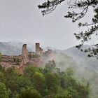 Pfalz - Die Eisheiligen an der Burg Altdahn