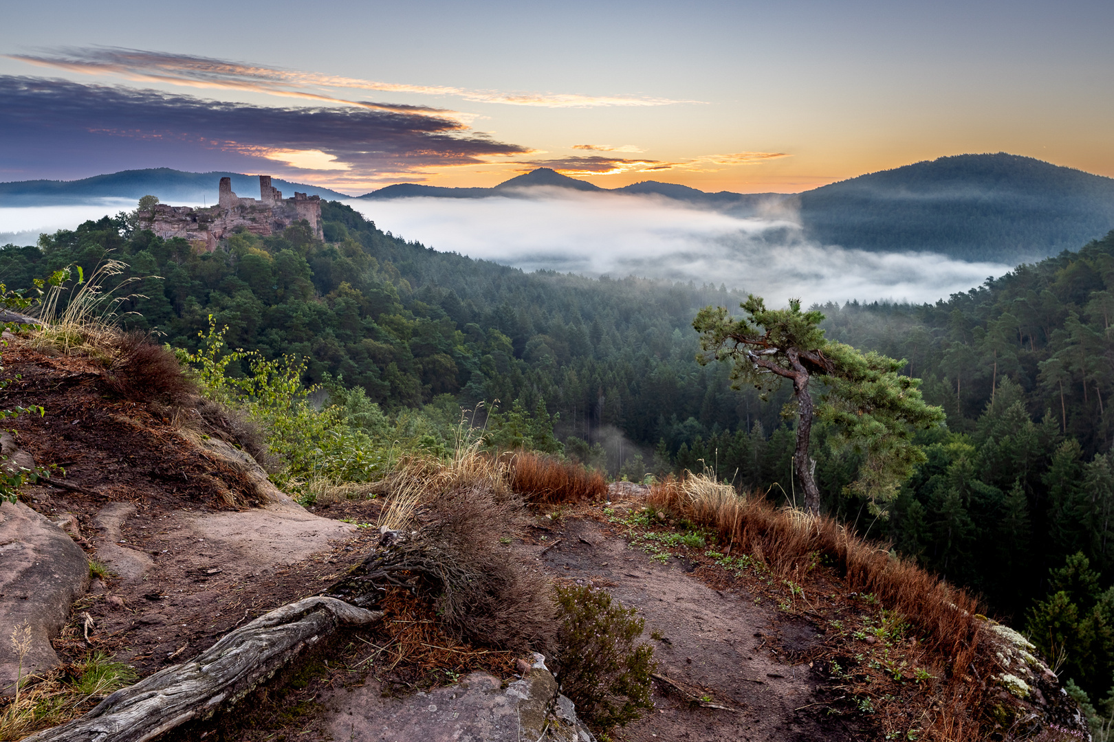 Pfalz - die Gunst der Stunde