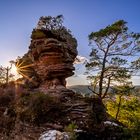 Pfalz - die letzten Strahlen genießen