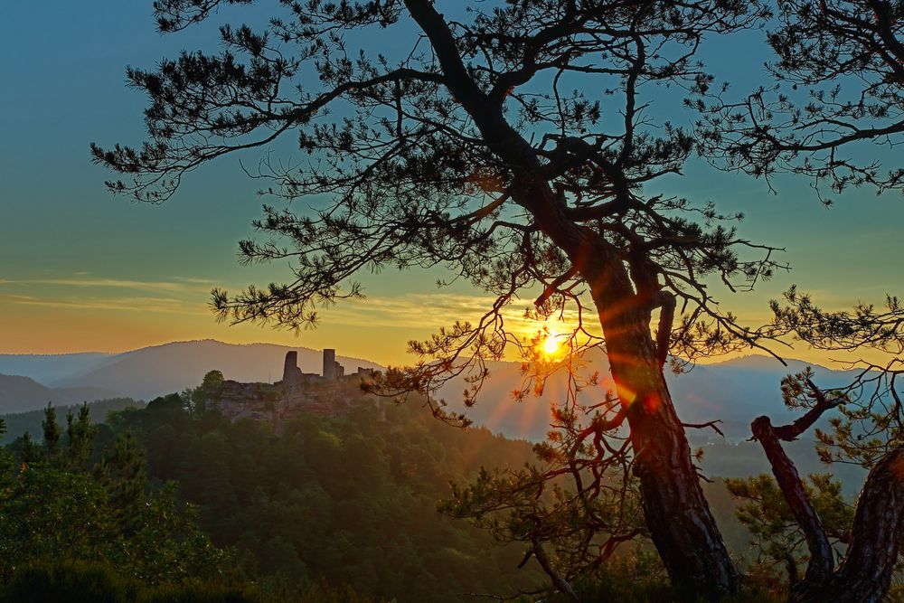 Pfalz - ein Morgen voller Impressionen