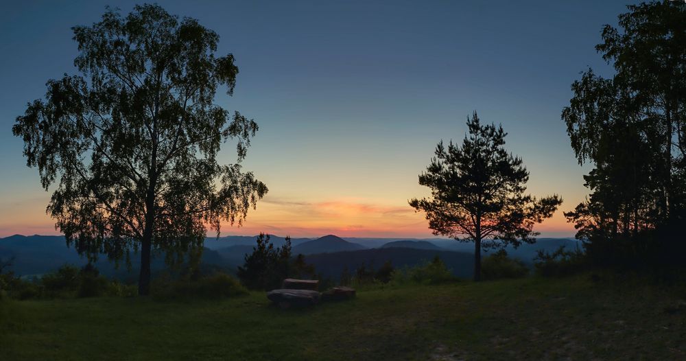 Pfalz - einer von vielen herrlichen Ausblicken