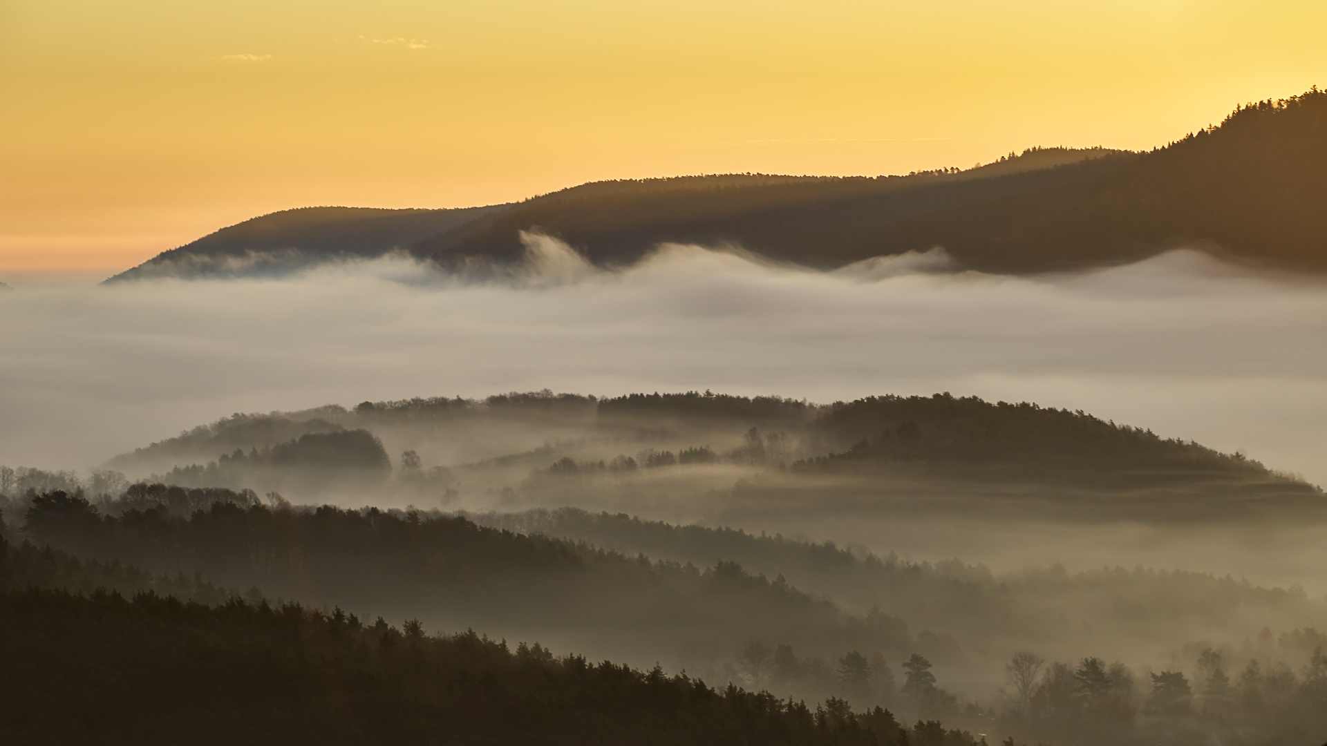 Pfalz - einfach nur genießen