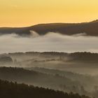 Pfalz - einfach nur genießen