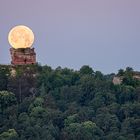 Pfalz - Erdbeermond über dem Drachenzahn