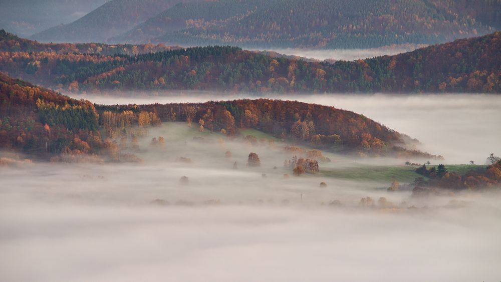 Pfalz - es gibt Morgende ...