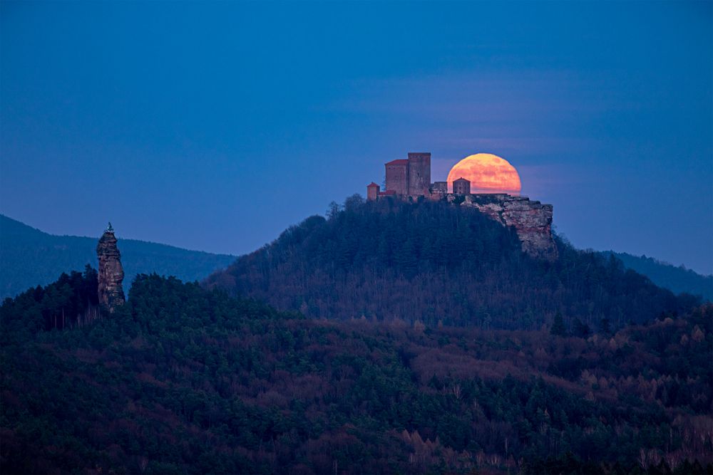 Pfalz - Hartung 2 Minuten jünger