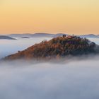 Pfalz - Herbst in Hochform