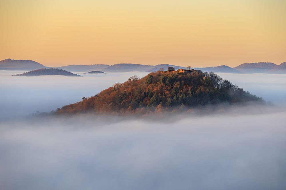 Pfalz - Herbst in Hochform