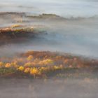 Pfalz - Herbstzeit - Nebelzeit