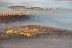 Pfalz - Herbstzeit - Nebelzeit