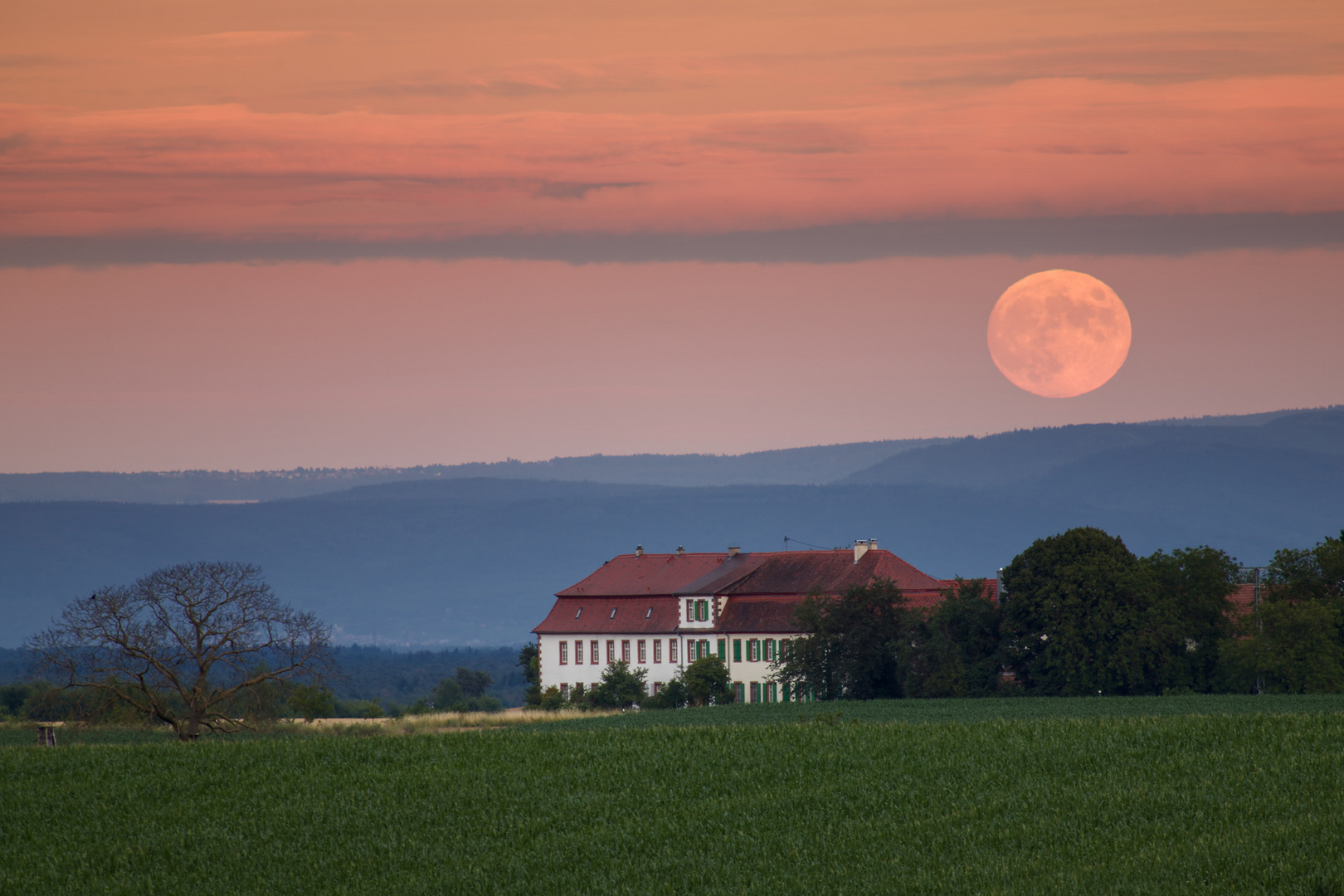 Pfalz - Heuvollmond im Abendrot