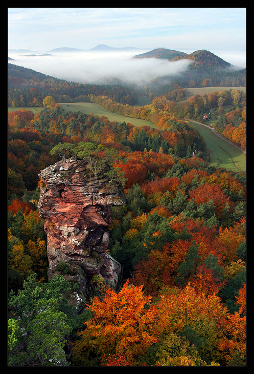 Pfalz in Herbst