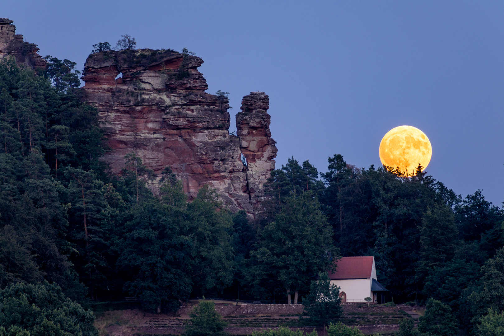 Pfalz - Julivollmond am Hochstein