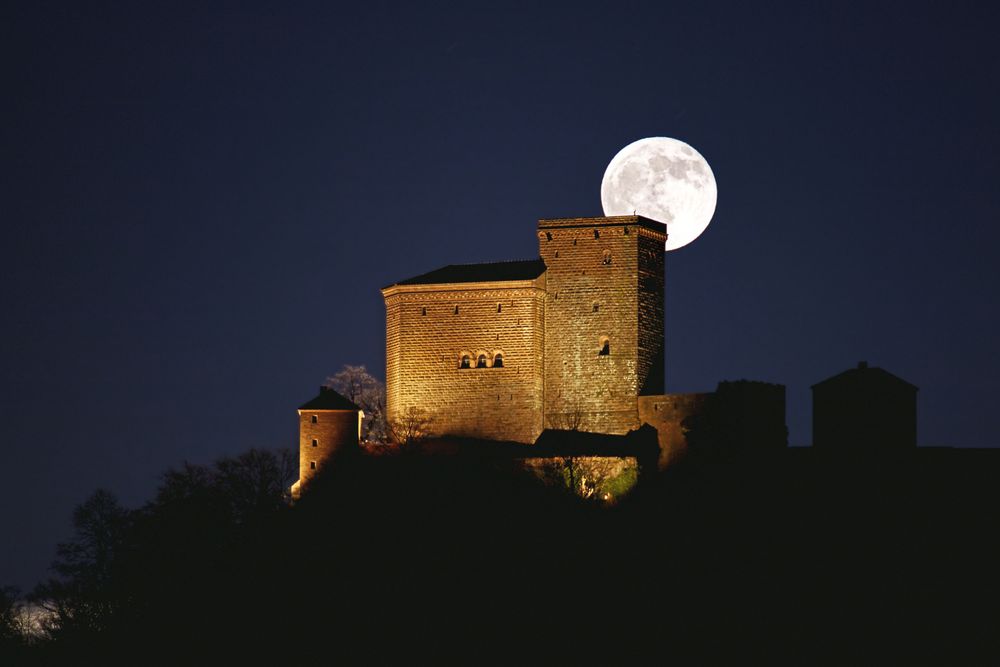 Pfalz - Julvollmond am Trifels