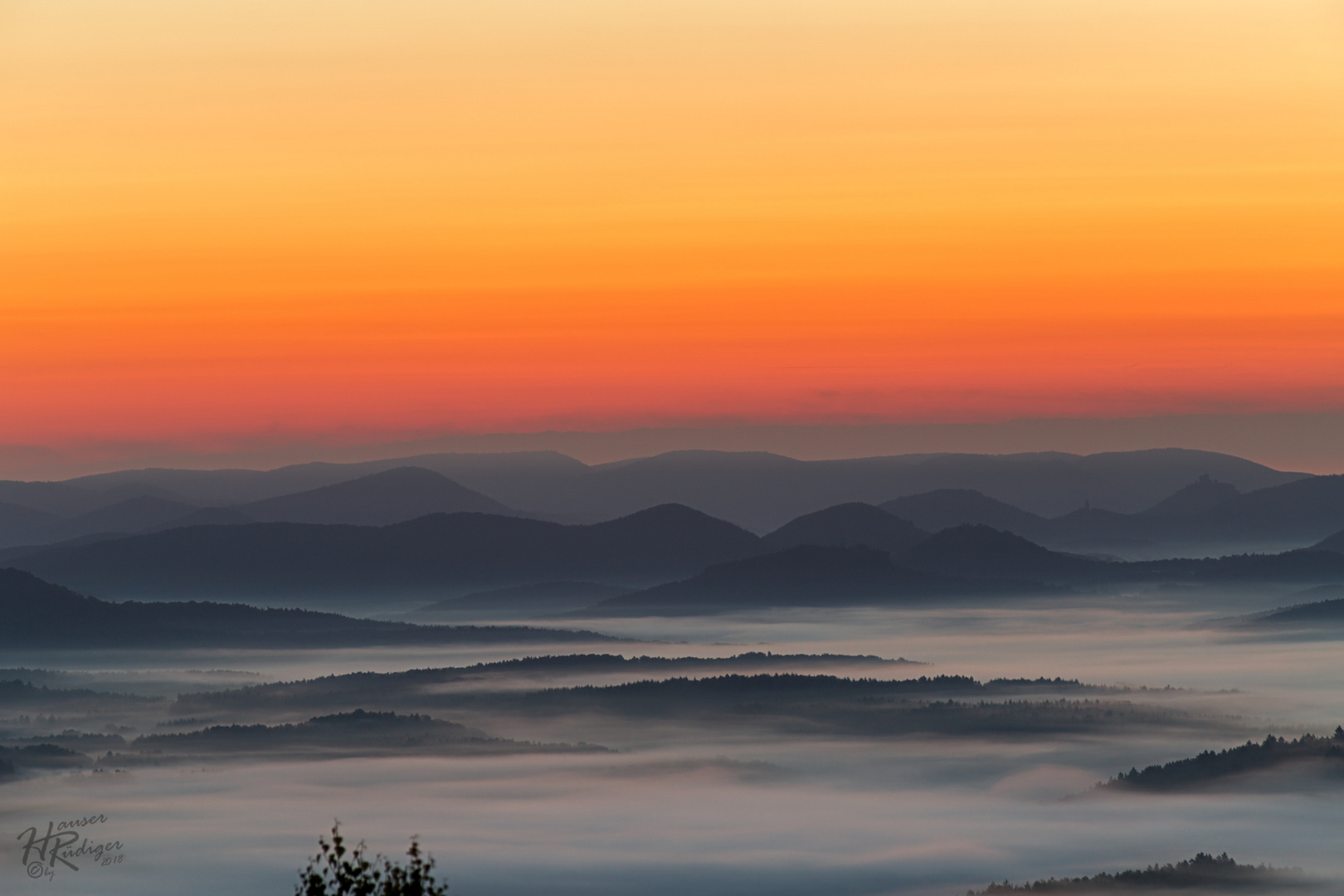 Pfalz - Kann ein Morgen schöner beginnen? 