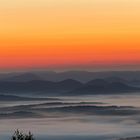 Pfalz - Kann ein Morgen schöner beginnen? 