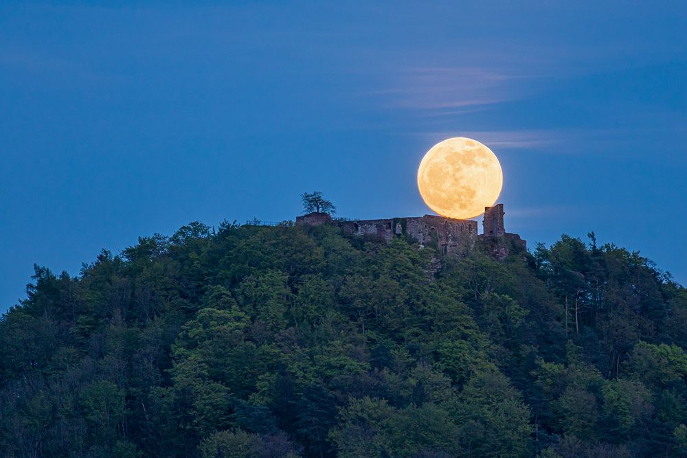 Pfalz - Launing bringt Licht am Horizont