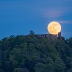 Pfalz - Launing bringt Licht am Horizont