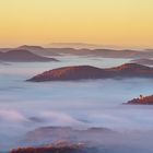 Pfalz - Letze Eindrücke des Herbstes