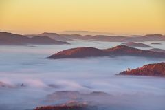 Pfalz - Letze Eindrücke des Herbstes