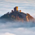 Pfalz - majestätisch ragt die Kaiserburg... 