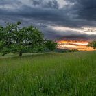 Pfalz - Mondfinsternis ganz anders