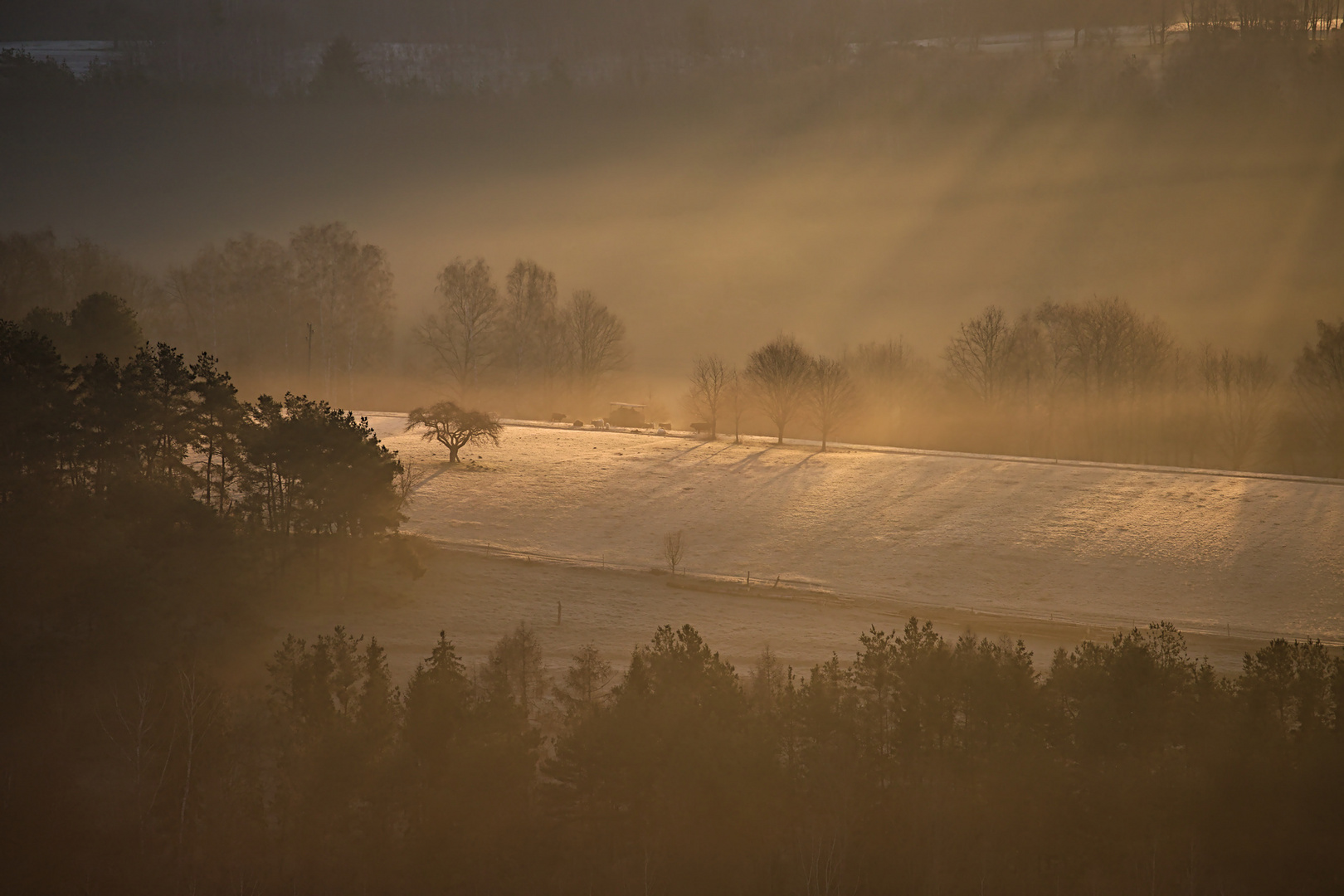 Pfalz - morgenlicher Spotlight