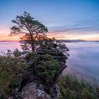 Pfalz - Morgenrot und Nebel