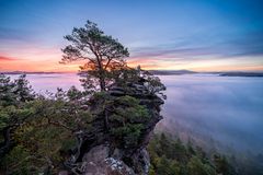 Pfalz - Morgenrot und Nebel