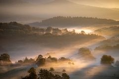 Pfalz - Morgens im herbstlichen Pfälzerwald